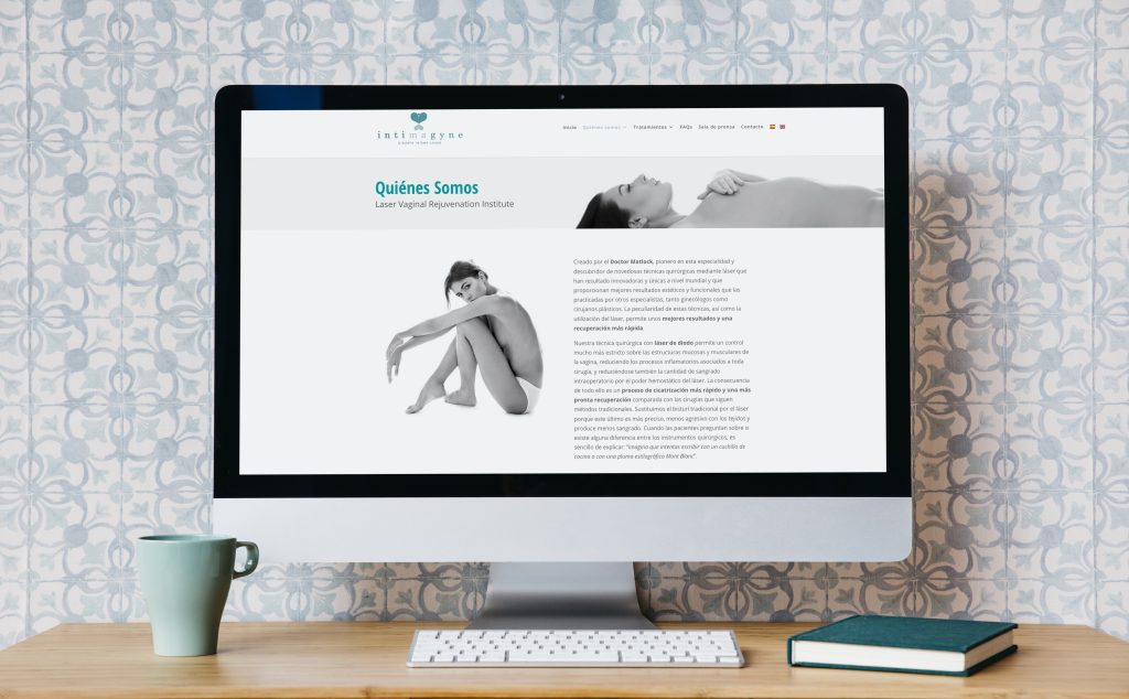 Diseño web Intimagyne – vista 2